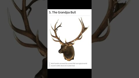 Huge Elk