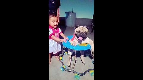 cute pug.. 😘 #pugs #rumble #funnyvideo