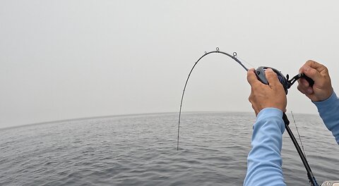 Levelwind Casting Reel for a Slow Pitch Jigging? Testing & Review with Amazing Rockfishing Action