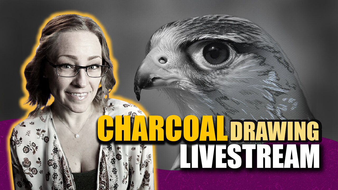 Charcoal Kestrel FULL real time drawing lesson! Draw with me!