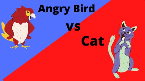 Fight Angry Bird Vs Cat