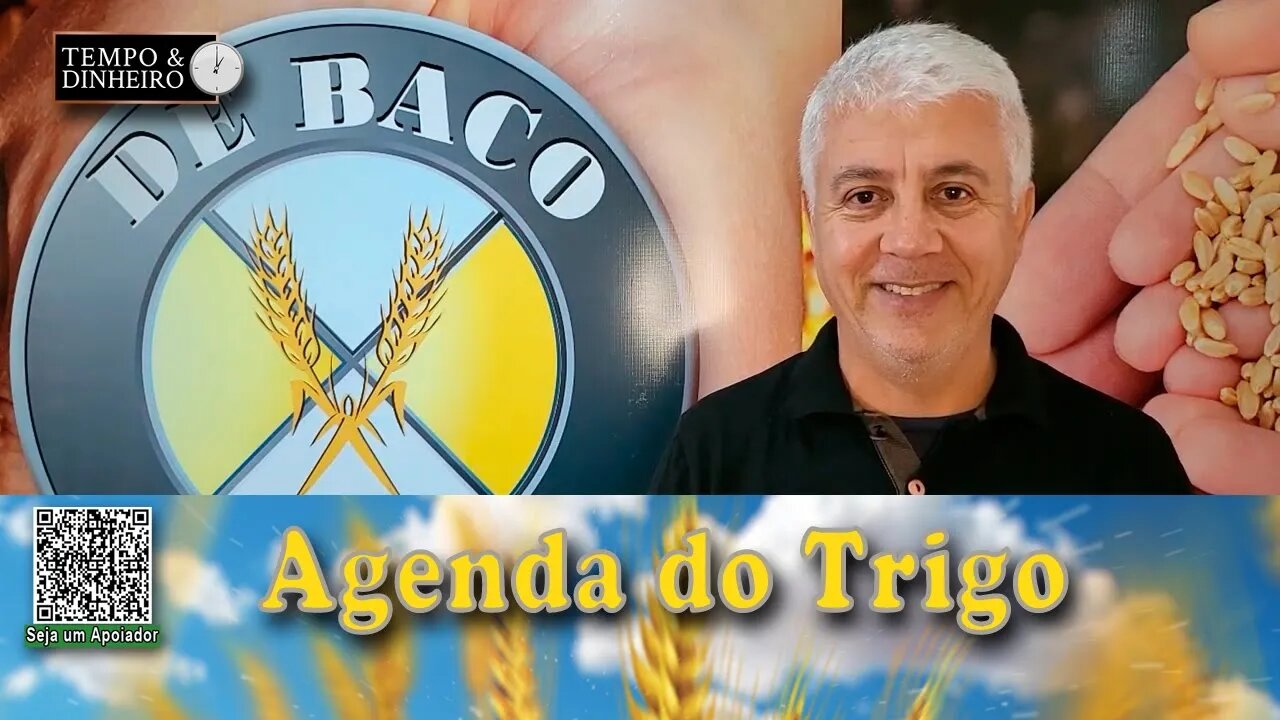 Melhora do clima sobre as lavouras mais juros...