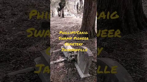 #taphophile #cemetery #phillips #craigswamp #hendricks #jacksonville #tombstone