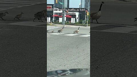 Why Toronto Traffic is Bad