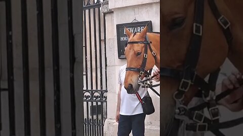 Touching the reins yank it away #horseguardsparade