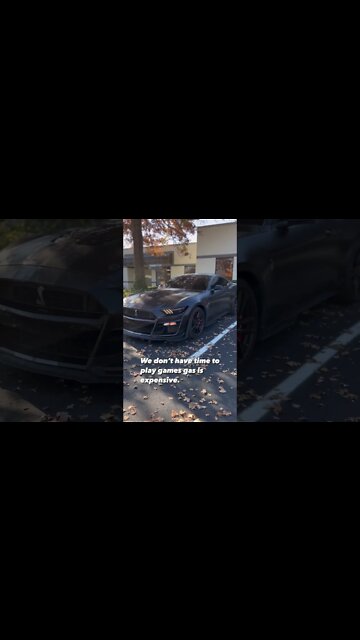 Rather be toxic then waste my time 💯 #ford #mustangsociety #fordperformance #fordracing #shorts