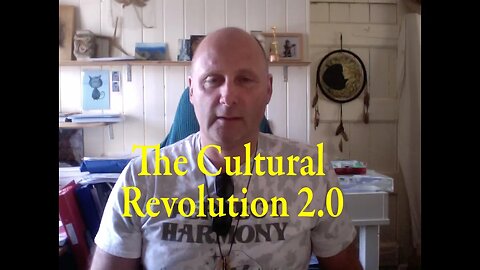 The Cultural Revolution 2.0