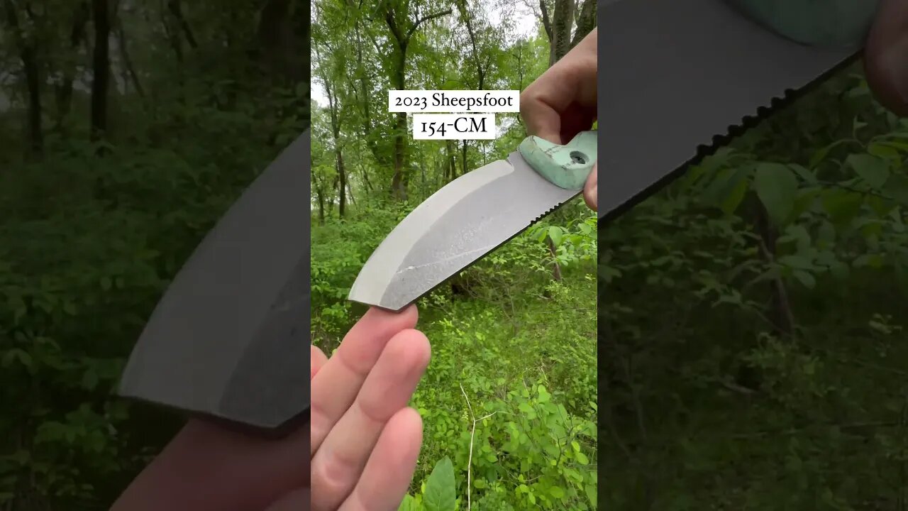 Today's Feature: 2023 Sheepsfoot in Tiffany Blue | Shed Knives #shedknives #shorts