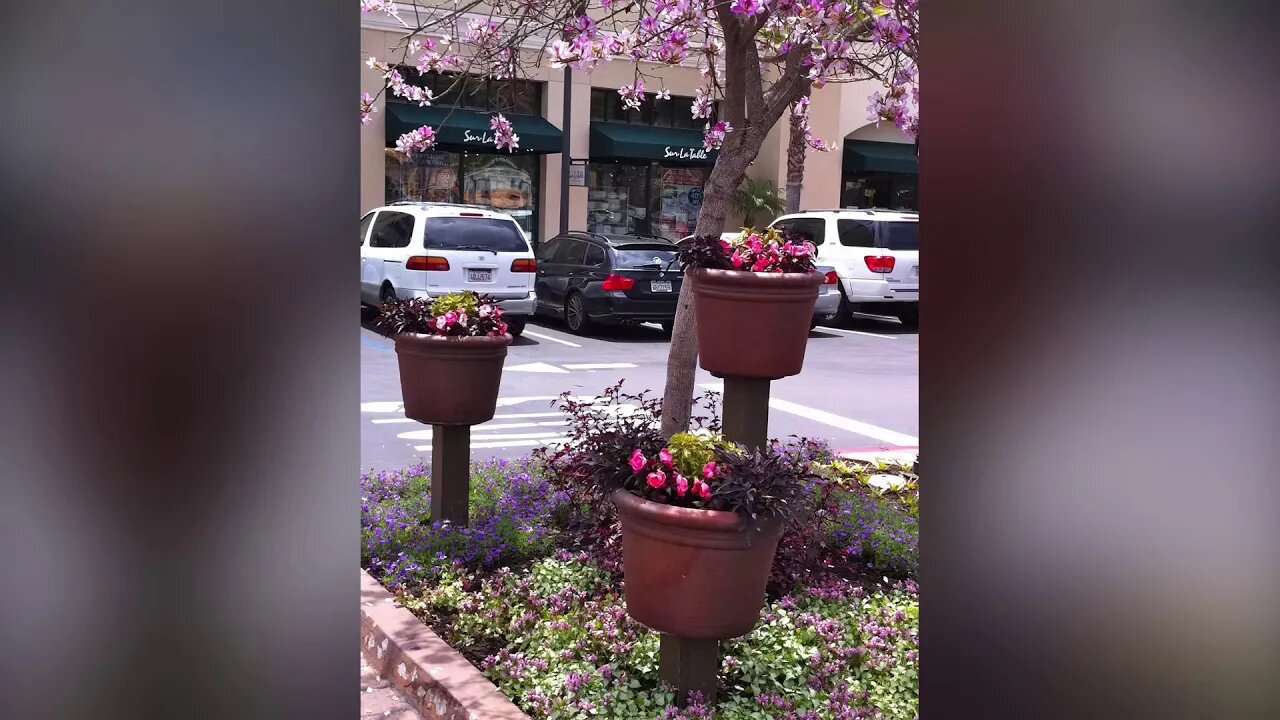 LANDSCAPING IDEAS FROM A SHOPPING CENTER / EdenMakers