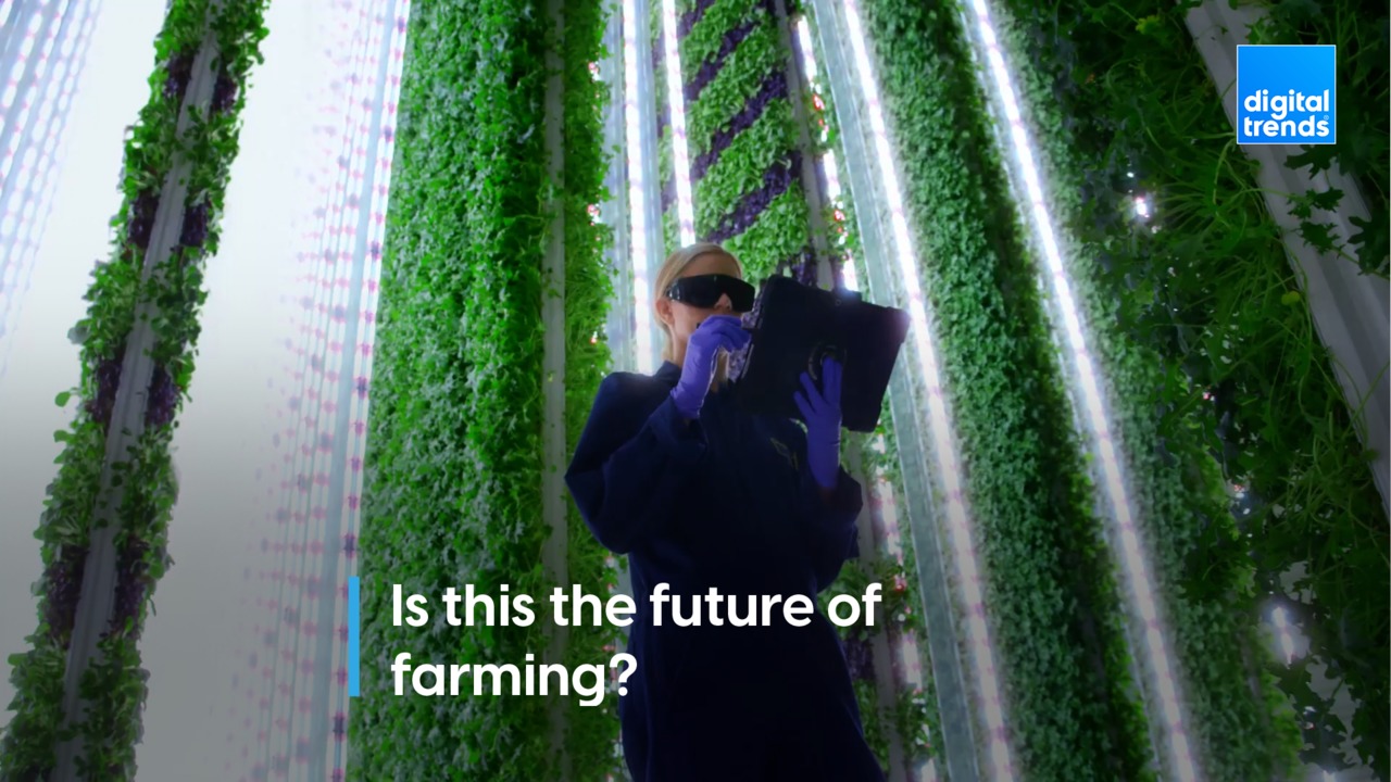 Is this the future of farming?