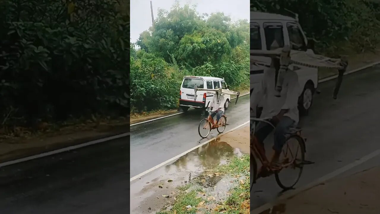 Aadivasi timali 🌧️ #monsoon #shortvideo #timali #shorts #short #youtubeshorts #youtubevideos #desi