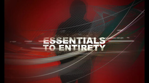 Essentials to Entirety - Vladimir Savchuk