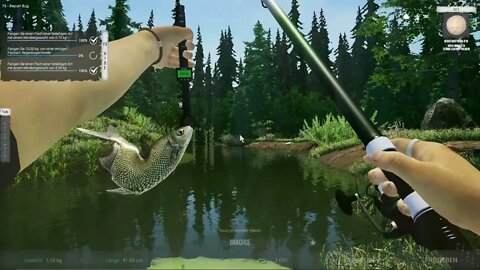 Ultimate Fishing Simulator 2 Folge 4 Döbel Aland und Co Teil 2