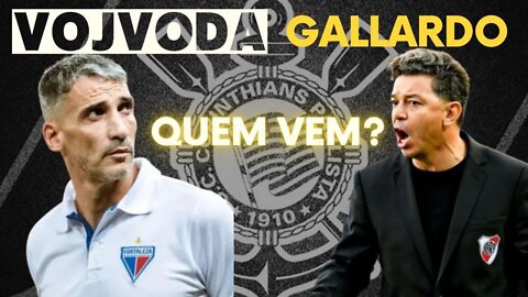 VOJVODA NO CORINTHIANS? NETO FALA SOBRE O NOVO TREINADOR DO CORINTHIANS.