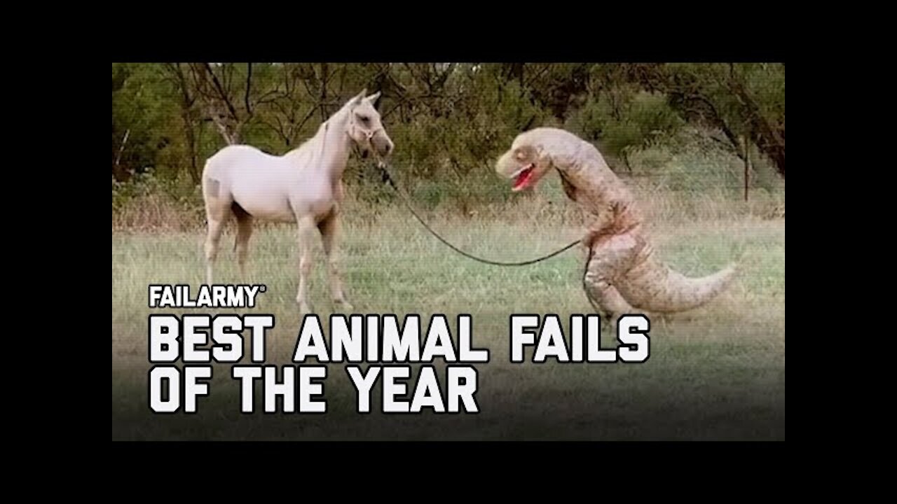 WHATCH THIS AND TRY NOT TO LOUGH Funny Animal Fails