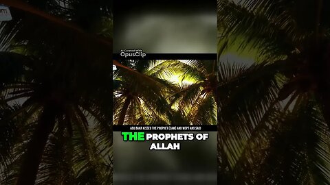 Experience the Emotional Journey of Abu Bakr and the Prophets Legacy