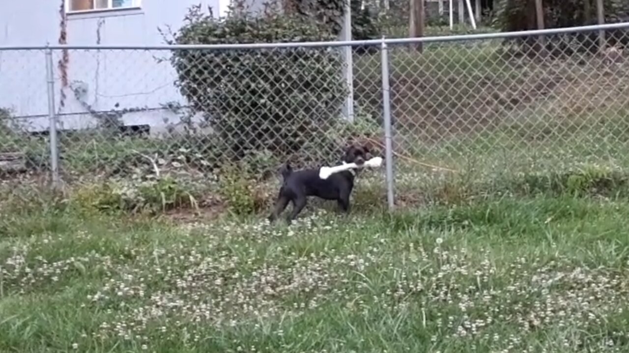 Some Things are Just Too Big to Hide!