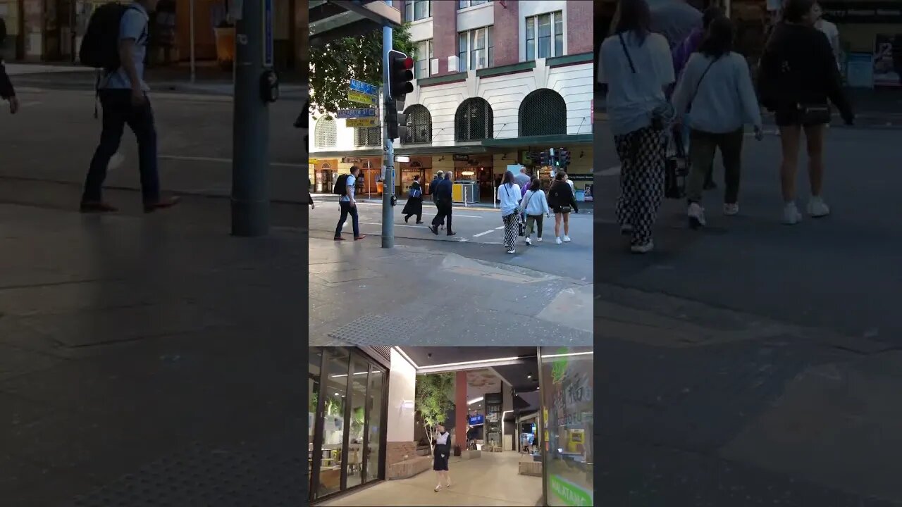 BRISBANE CITY WALKING TOUR EXPERIENCE || QLD - Australia
