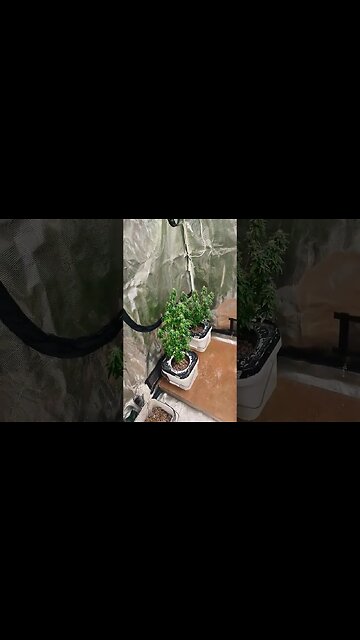 went in the tent 🥂🍿