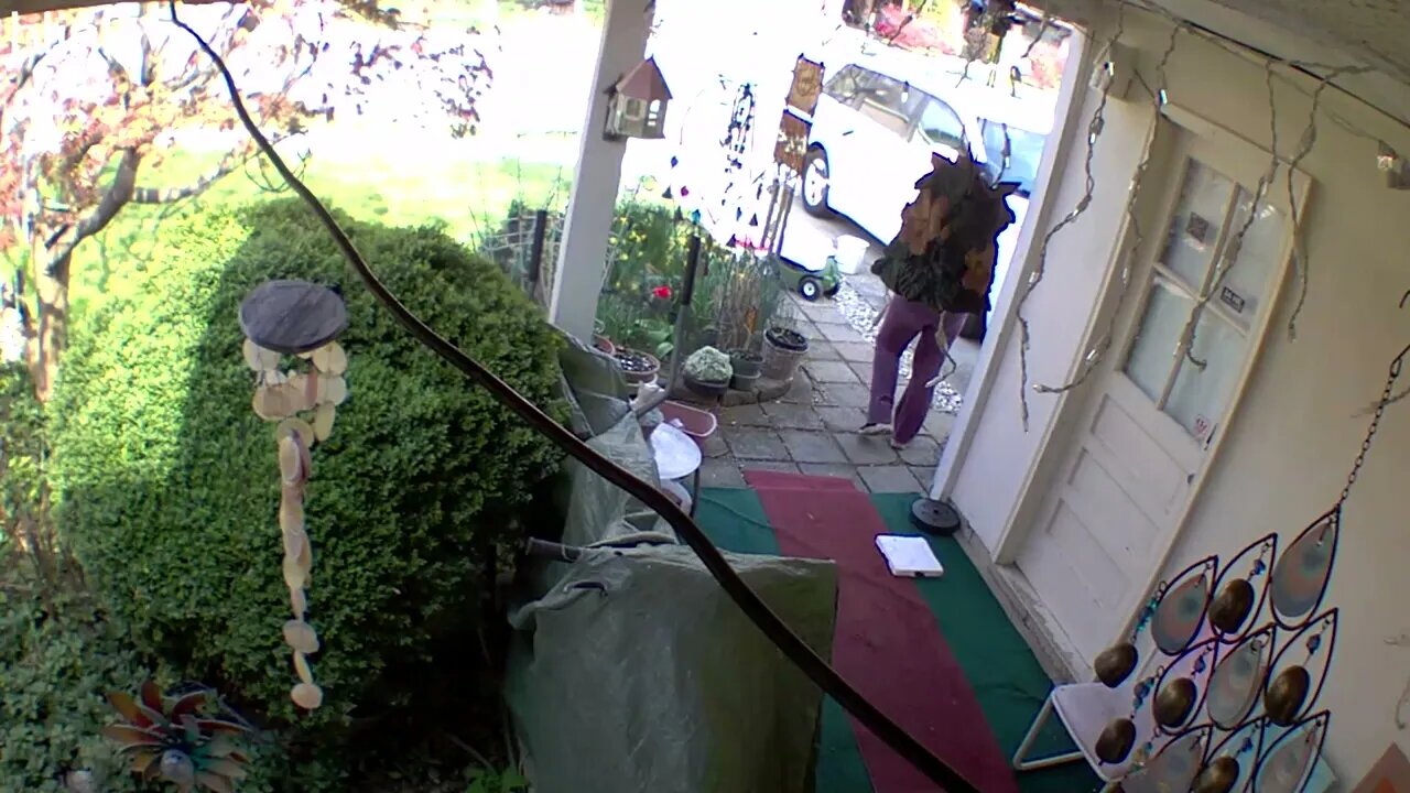2_WEST_FLOODLIGHT_VIDEO_CAM_2023-04-06T11_26_16-0400.mp4