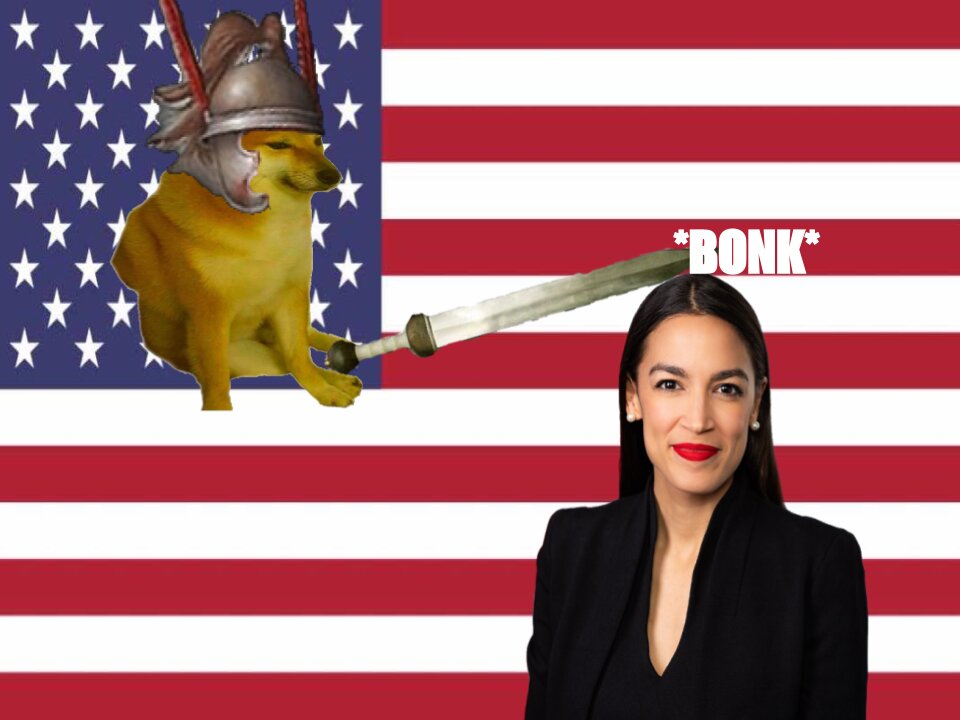 AOC Loses Committee Seat Bid