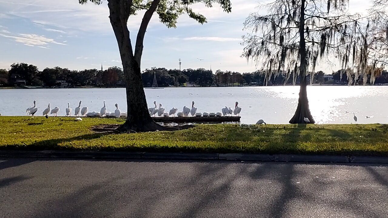 the Father's creation ❤️