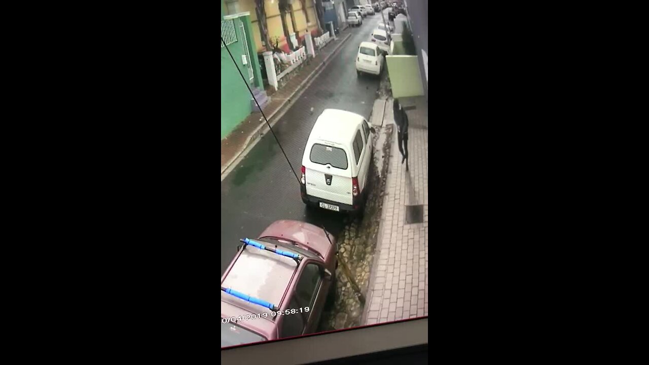 UPDATE 3 - French UCT student suffers three stab wounds to the neck in Bo-Kaap attack (ou6)