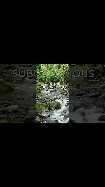 Listen to full meditations at Women's meditation network channel #meditation #sleep #shorts