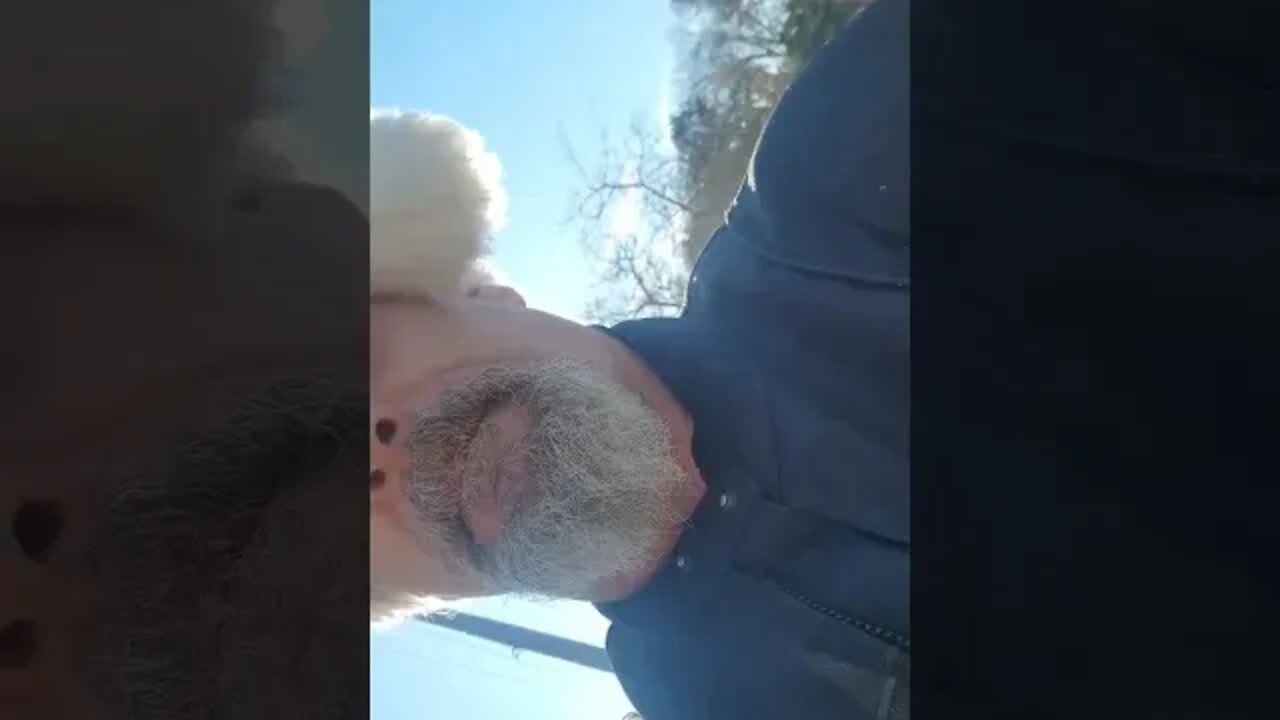 Walk In The Wood With The Dogs Swing In Say Hi