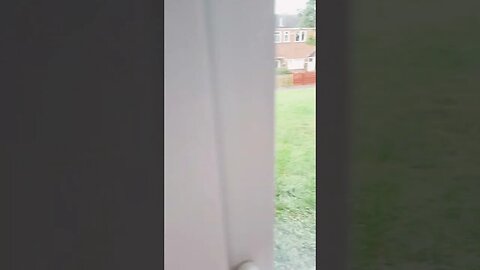 #veiws_viral_video_subscribers_grow bedroom view 😍 enjoy #clip