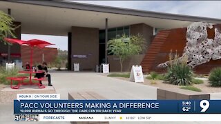 A look behind the magic of PACC and its volunteers