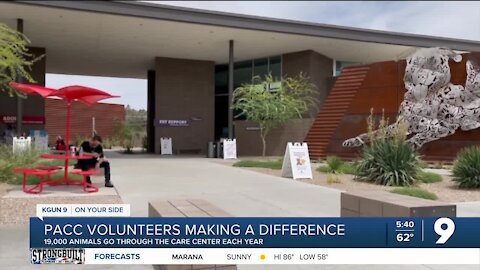 A look behind the magic of PACC and its volunteers