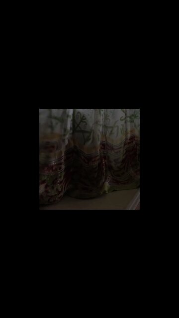 Cats Playing With Ball Compilation #Shorts