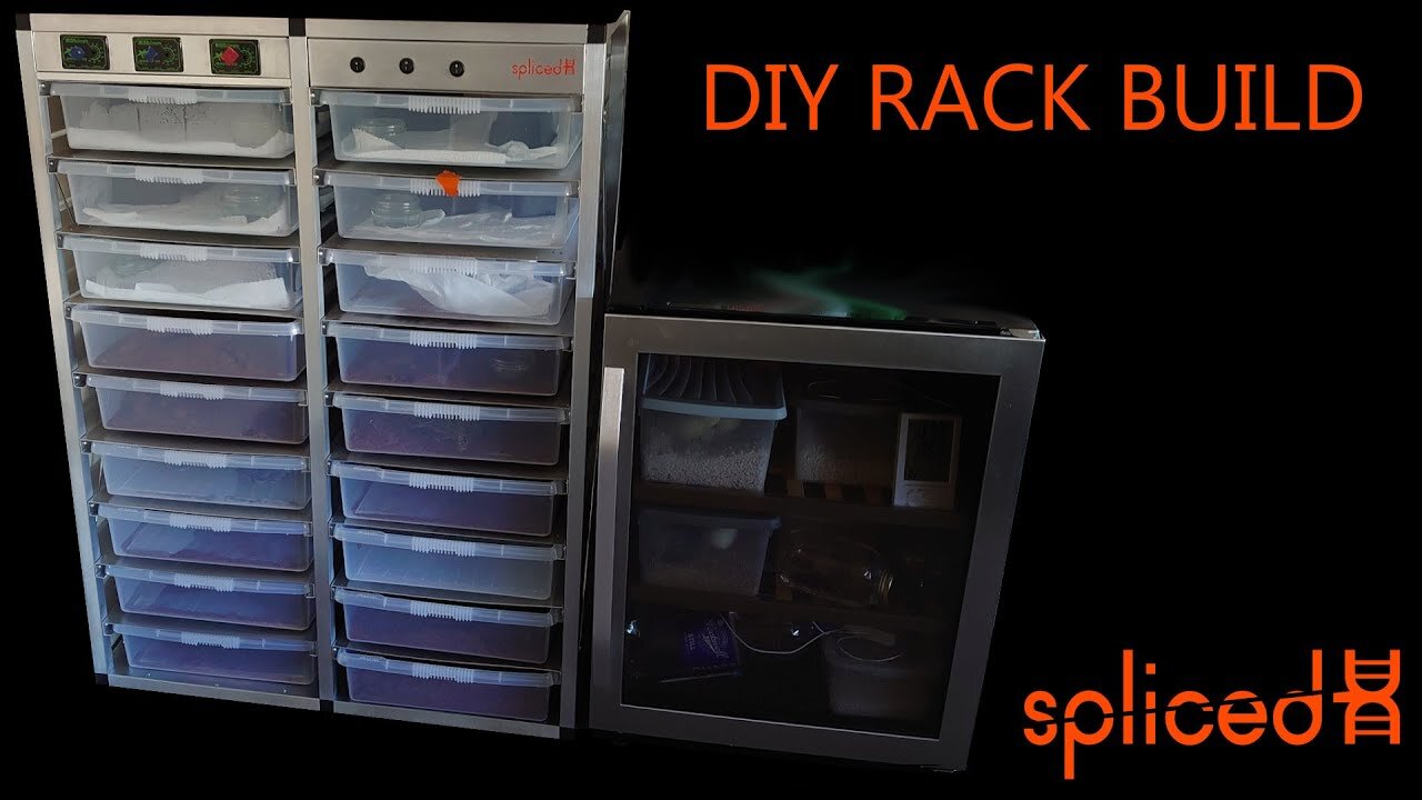 DIY Snake Rack Build