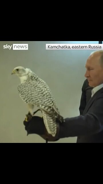 McAfee Post 9 17 2022 9:25am Putin and the Falcon