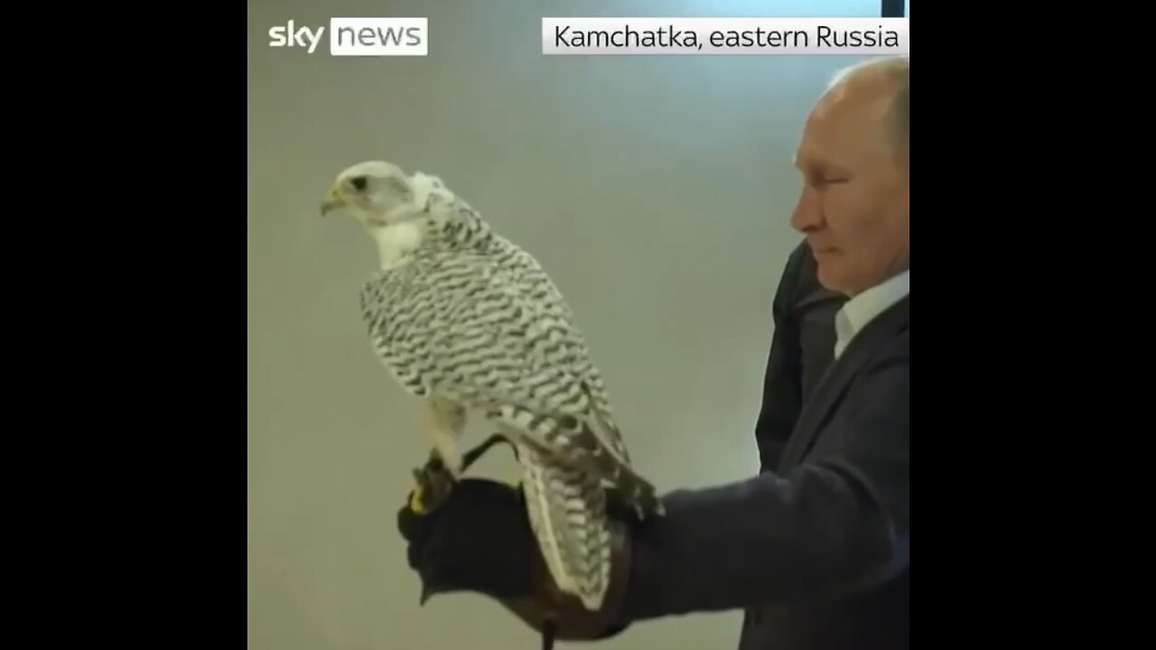 McAfee Post 9 17 2022 9:25am Putin and the Falcon