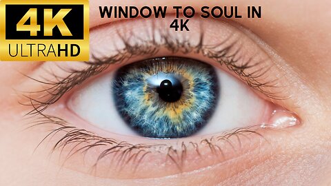 Mesmerizing 4K Eye Close-Up: A Window to the Soul