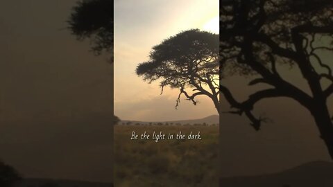 Be the Light in the Dark!