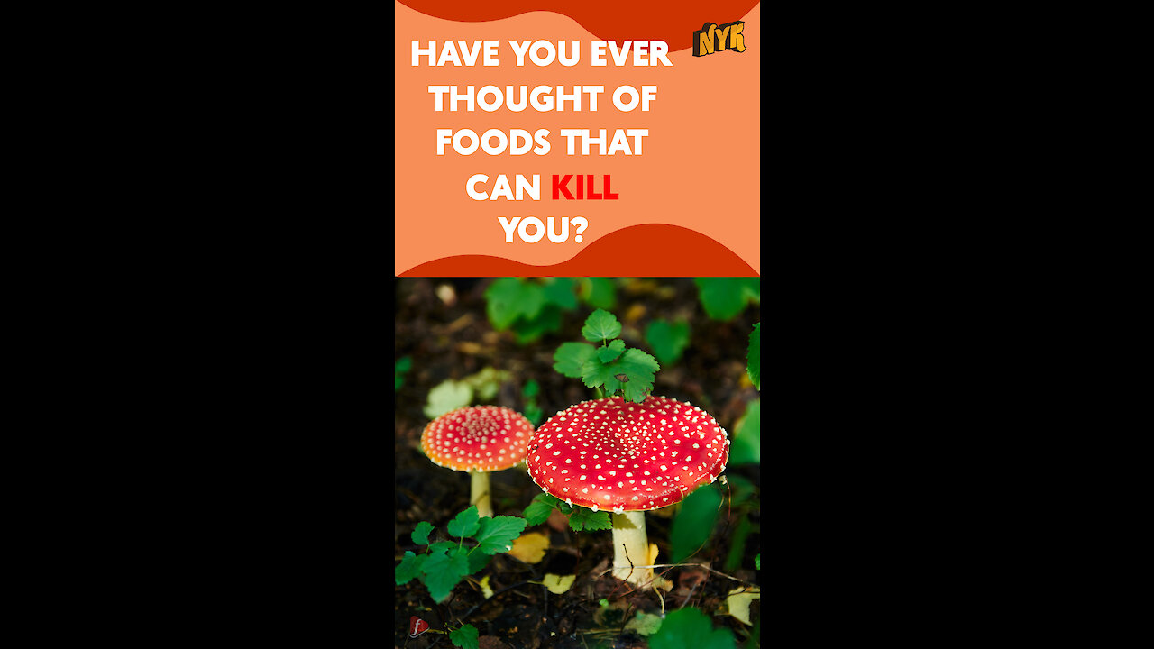 What Are The Exotic Foods That Can Kill You? *