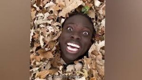Best funny video try to not laugh