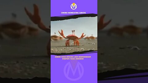 ANIMATION MOTIVATION QUOTE