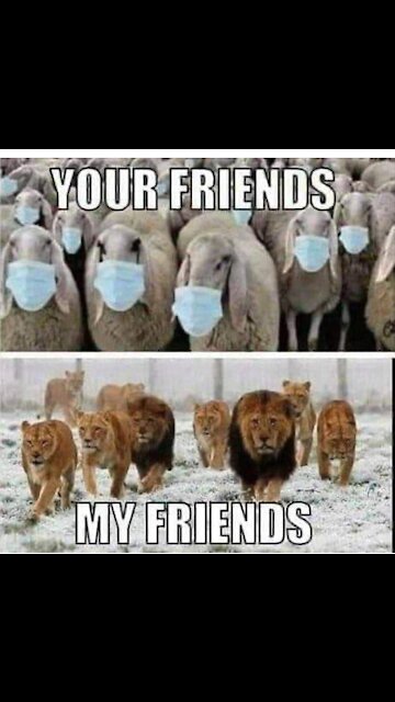 Mask nazi loses her mind.BWAAAAAAAAAA