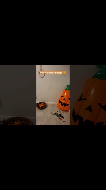 Indoor Pumpkin Patch on a Rainy Day 🎃 #decor #Halloween #pumpkin #patch #fall #ideas