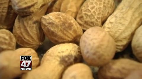 Vaccine to treat peanut allergies shows promise