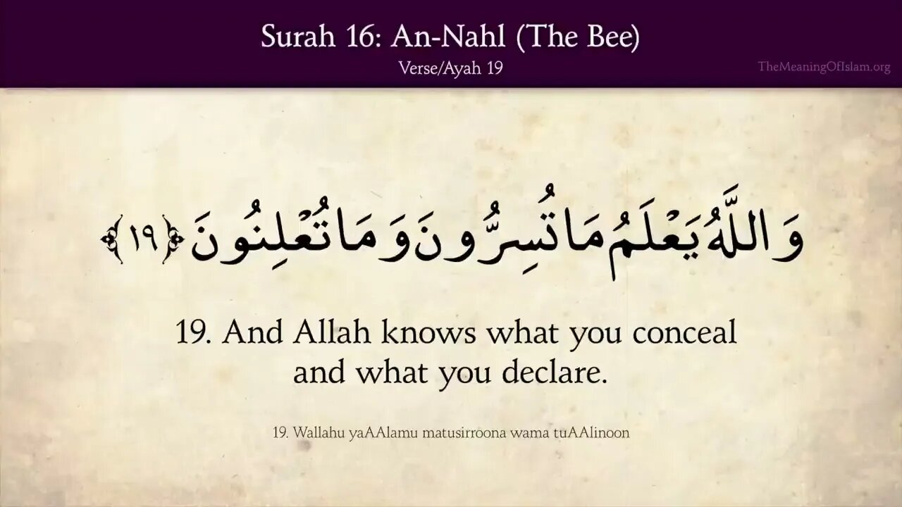 English Quran | Chapter 16 | Surah An-Nahl ( The Bee )