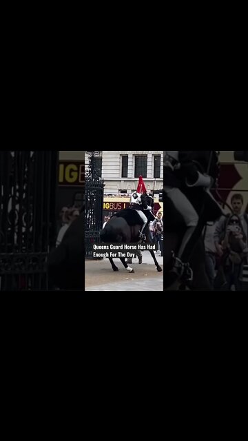 Queens Guard Horse Has Had ENOUGH For The Day #shorts #queenelizabethii #Queen #QueensGuard