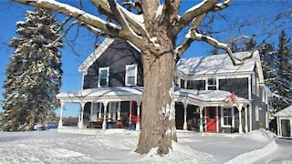 This Massive Ontario Home Is The Buckingham Palace Of Cottages & Costs Under $600K