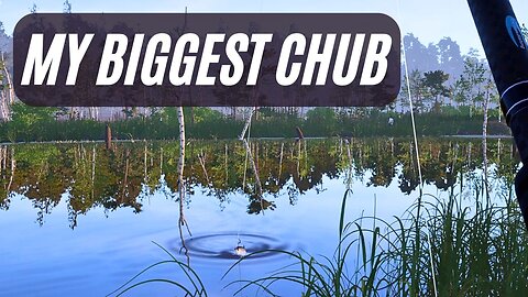 Caught my biggest chub, personal record, strongest fish, Old Burg lake, Russian fishing 4 game pc