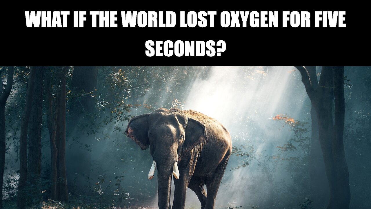 What If the World Lost Oxygen for Five Seconds?