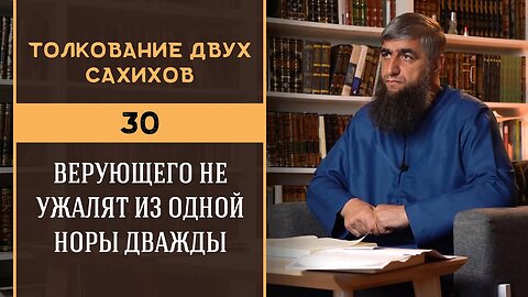 Толкование двух сахихов 30 - Верующего не ужалят из одной норы дважды